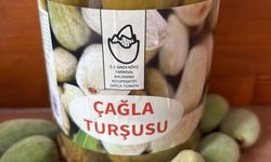 Kadın üreticilerden ekonomiye katkı