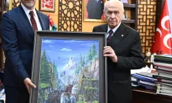 MHP İstanbul'a yeni il başkanı atandı