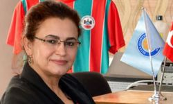 Sınırdan gelen yorgun mermi profesörü yaraladı