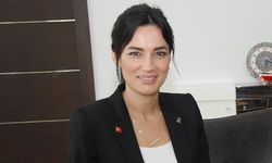 AKP'li vekil Sarıbaş'ın oğlu hakkında silah iddiası