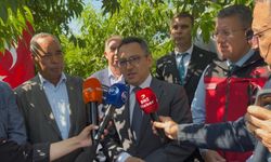 Ege'nin bereketli topraklarında 'altın hasat' başladı: