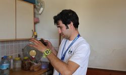 Engelsiz Destek Projesi hayata geçti