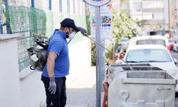 Balçova'da haşerelere kapsamlı mücadele