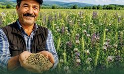 Çavuşoğlu: 'Üreticimiz kazanacak, Denizli büyüyecek'