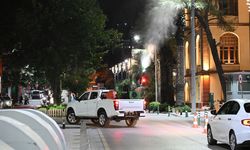 Şehzadeler ve Yunusemre'de eş zamanlı ilaçlama