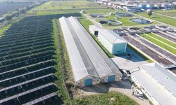 Arıtma Çamuru Enerjiye Dönüşüyor
