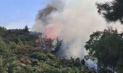 Aydın'da orman yangında iki mahalle tahliye edildi