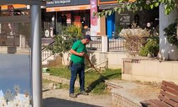 Efeler Belediyesi'nden kesintisiz çevre mesaisi