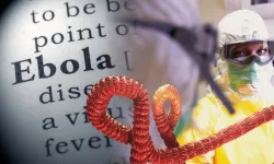 Kongo'da Ebola Salgını büyüyor