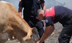 Yangın Sahasında Yürek Isıtan An