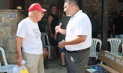 Akdeniz'de meyve sineğine karşı mücadele