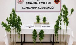 Çanakkale'de 3 ilçede uyuştur*cu operasyonu