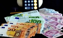 Döviz piyasasında hareketlilik sürüyor