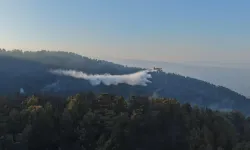 Kuyucak'ta orman yangını: 2 personel yaralandı