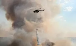 Manisa'da Ormana Sıçrayan Yangın