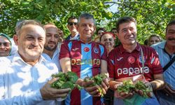 Özel: FİSKOBİRLİK'i batırdılar üreticiyi sahipsiz bıraktılar