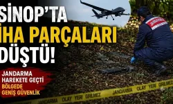 Sinop'ta ormanda İHA parçaları bulundu