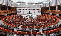 TBMM'de çerçeve yasanın maddelerine geçildi
