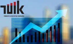 TÜİK: Tüketici güven endeksi ağustos ayında 90,8 oldu