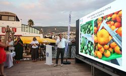 Yeşil Bodrum mandalini sektör buluşması