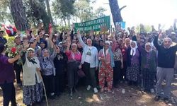 Akbelen davasında Danıştay Savcısı'ndan kamu yararı mütalaası