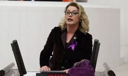 Asu Kaya'dan iktidara karma eğitim ve nafaka tepkisi