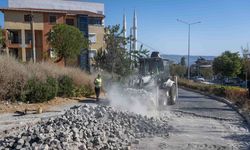 Bornova Belediyesi'nden yıldırım müdahale