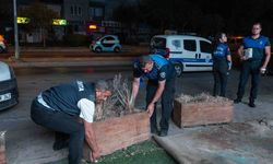 Bornova'da gece yarısı zabıta operasyonu