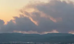 Muğla'daki yangına müdahale sürüyor