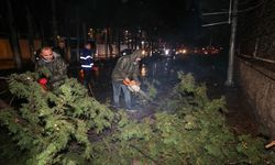 Buca Belediyesi'nden afetlere karşı hazırlık çağrısı
