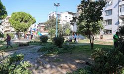 Buca'nın yeşil alanlarına sonbahar bakımı