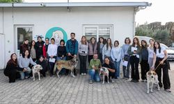 Can dostları yeni sahipleriyle buluştu