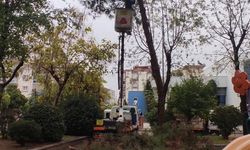 Efeler yağışlarda tehlikelerin önüne geçiyor