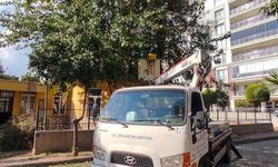 Efeler'in yeşil alanlarına özel dokunuş