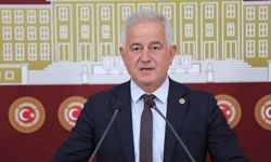 Güneşhan'dan Bakan ve TFF Başkanı'na istifa çağrısı