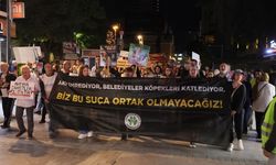 'İktidarın ortağı olup bizi tek biraktınız'