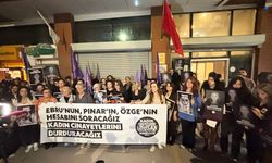 'Kadınları koruma yükümlüsü olan kamu kurumlarının da denetlenmesi gerekiyor'