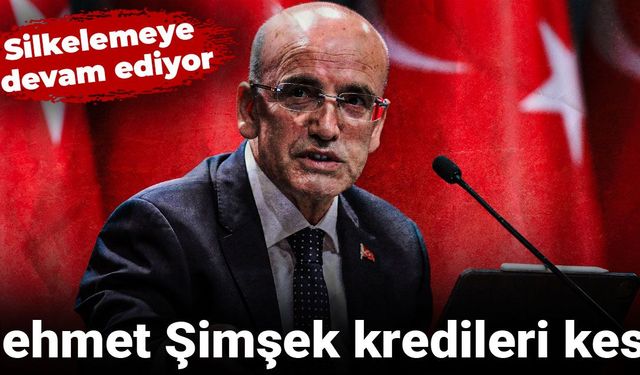 Mehmet Şimşek kredileri kesti: Silkelemeye devam ediyor