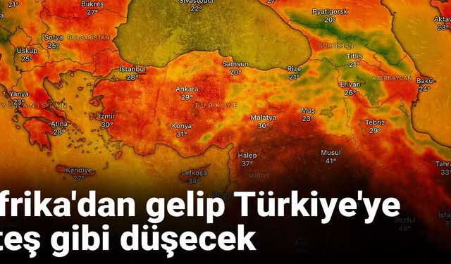 Afrika'dan gelip Türkiye'ye ateş gibi düşecek