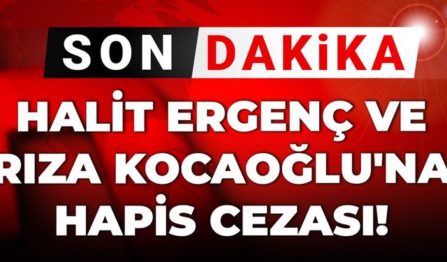 Son dakika Halit Ergenç ve Rıza Kocaoğlu'na hapis cezası