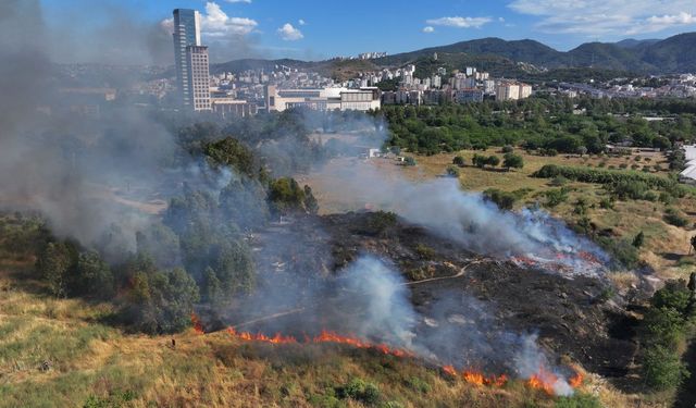 İzmir Yeşildere Yolunda Yangın