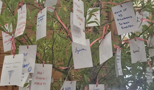 Üniversiteli gençlerin 'Umut' ağacında umutsuzluk...