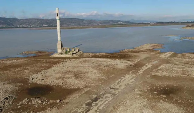 ‘Susuz Yaz’ bu yaz İzmir’de çekilecek