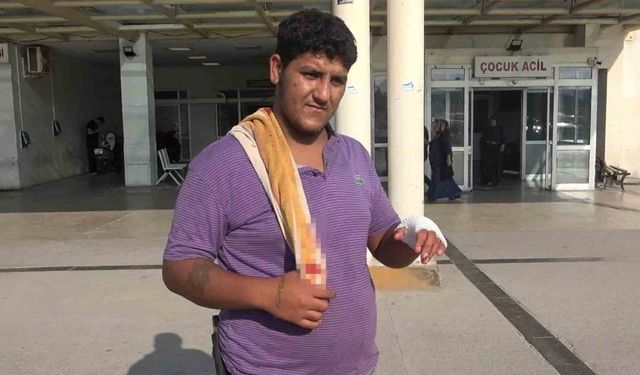 Adana’da acemi kasaplar hastanelere başvurdu