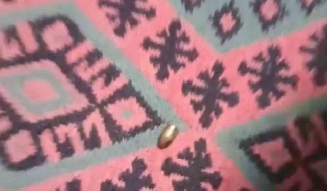 Adana’da yorgun mermi, ailenin oturduğu çardağa isabet etti