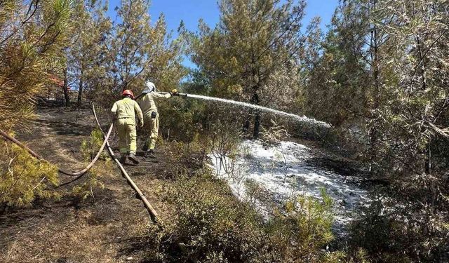 Adana’daki orman yangını kontrol altına alındı