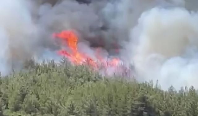 Akhisar’da başlayan orman yangınına müdahale devam ediyor