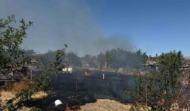 Ankara’da ot yangını korkuttu