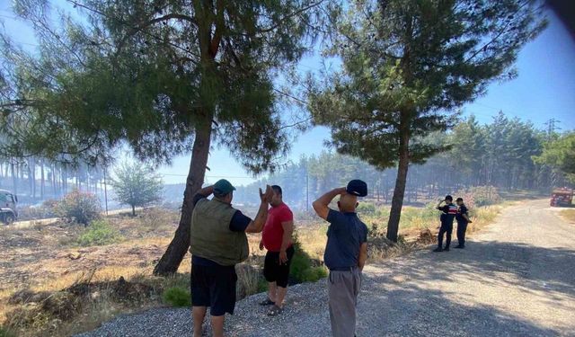 Antalya Aksu’da orman yangını kontrol altına alındı