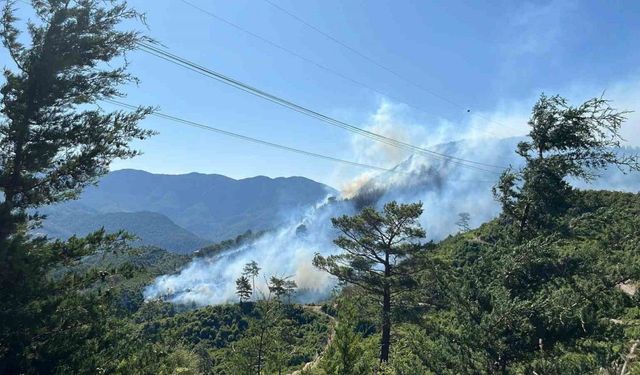 Antalya’da 2 ilçede orman yangını